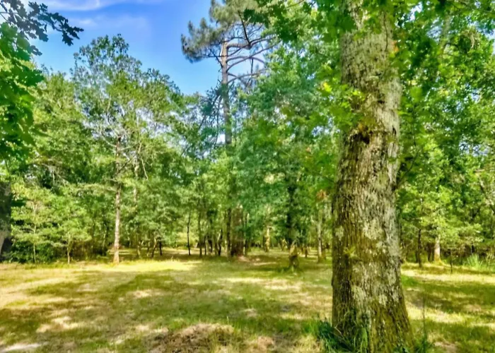 Bilydis * Vendays-Montalivet